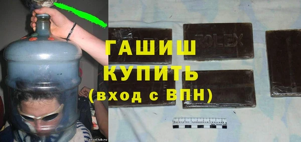 стаф Алзамай