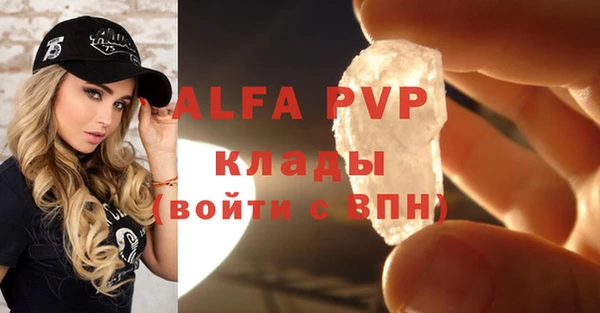 стаф Алзамай