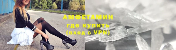 стаф Алзамай