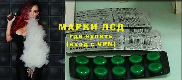 стаф Алзамай