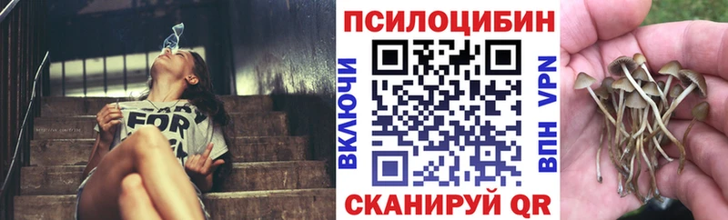 как найти закладки  Калининск  Псилоцибиновые грибы мухоморы 